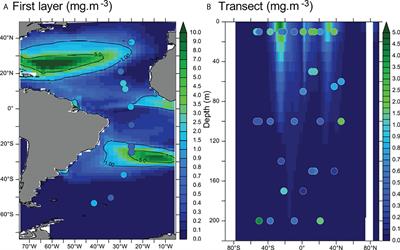 Zooplankton exposure to microplastics at global scale: Influence of vertical distribution and seasonality